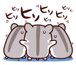 Hamster / Nagomu 3 sticker #5078804