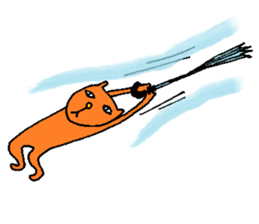 Orange crazy cat sticker #5079107