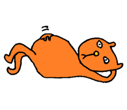 Orange crazy cat sticker #5079118
