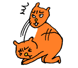 Orange crazy cat sticker #5079127