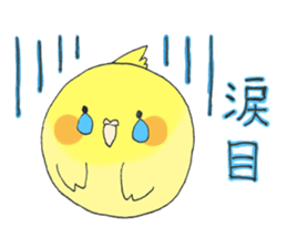 Perfectly round of true parrots sticker #5079429