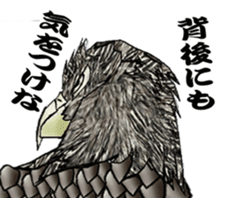 White-tailed eagle sticker #5080505