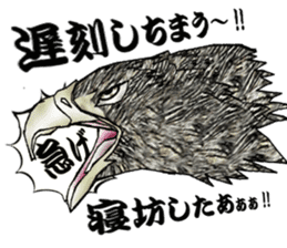 White-tailed eagle sticker #5080506