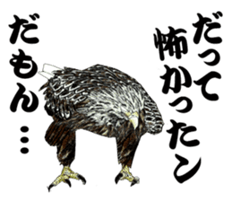 White-tailed eagle sticker #5080521
