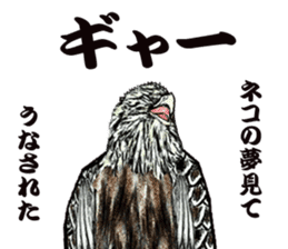 White-tailed eagle sticker #5080540