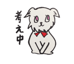 For now, cat sticker sticker #5080571