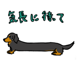 Dachshund Terry and two birds. sticker #5082594