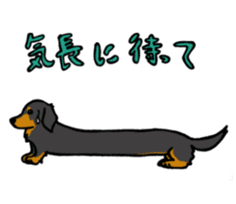 Dachshund Terry and two birds. sticker #5082594
