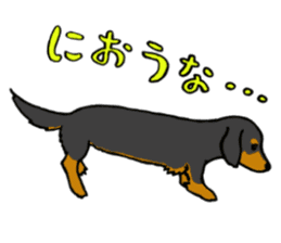 Dachshund Terry and two birds. sticker #5082600