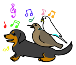 Dachshund Terry and two birds. sticker #5082616
