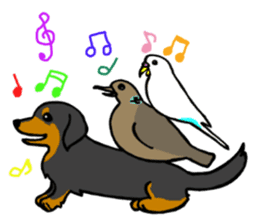 Dachshund Terry and two birds. sticker #5082616