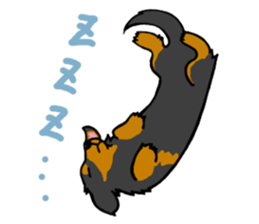 Dachshund Terry and two birds. sticker #5082621