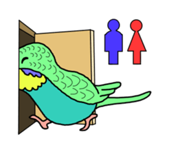 My Parakeet sticker #5082720