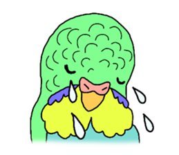 My Parakeet sticker #5082725