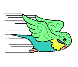 My Parakeet sticker #5082727