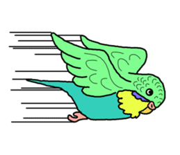 My Parakeet sticker #5082727