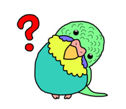 My Parakeet sticker #5082740
