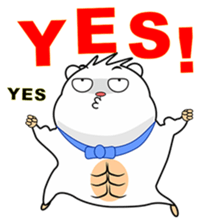 Cute funny hamster (Practical Tips 1) sticker #5082907