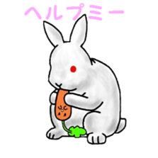 Highly convenient vegetables sticker #5087323