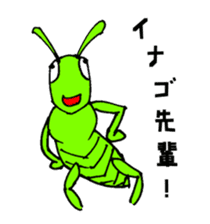 insect food sticker #5090340