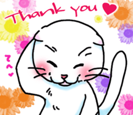 Fat Scottish Fold 2 sticker #5090882