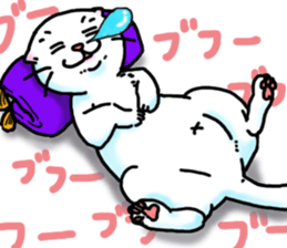 Fat Scottish Fold 2 sticker #5090901