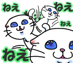 Fat Scottish Fold 2 sticker #5090903