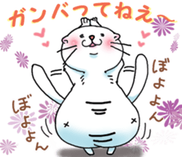 Fat Scottish Fold 2 sticker #5090913