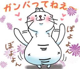 Fat Scottish Fold 2 sticker #5090913