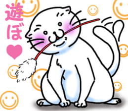 Fat Scottish Fold 2 sticker #5090916
