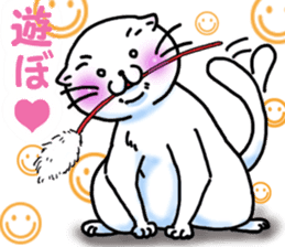 Fat Scottish Fold 2 sticker #5090916