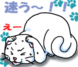 Fat Scottish Fold 2 sticker #5090917