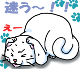Fat Scottish Fold 2 sticker #5090917