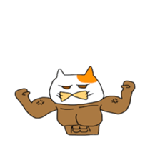 Funny  White cat (foreign country sticker #5091302