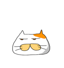 Funny  White cat (foreign country sticker #5091311