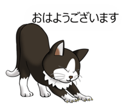 Behaved cat sticker #5091798