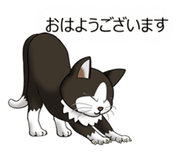 Behaved cat sticker #5091798