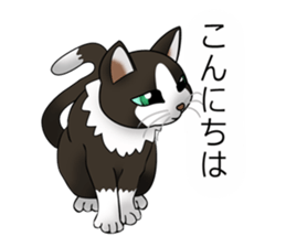 Behaved cat sticker #5091799