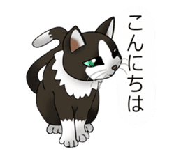 Behaved cat sticker #5091799