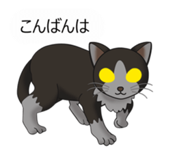 Behaved cat sticker #5091800