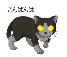 Behaved cat sticker #5091800