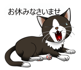 Behaved cat sticker #5091801