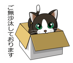 Behaved cat sticker #5091804