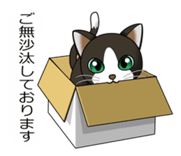 Behaved cat sticker #5091804