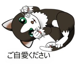 Behaved cat sticker #5091807