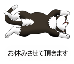 Behaved cat sticker #5091813