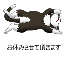 Behaved cat sticker #5091813