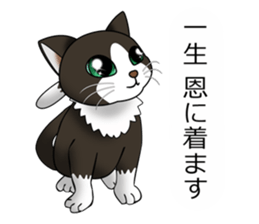 Behaved cat sticker #5091817