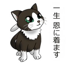 Behaved cat sticker #5091817