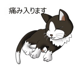 Behaved cat sticker #5091818